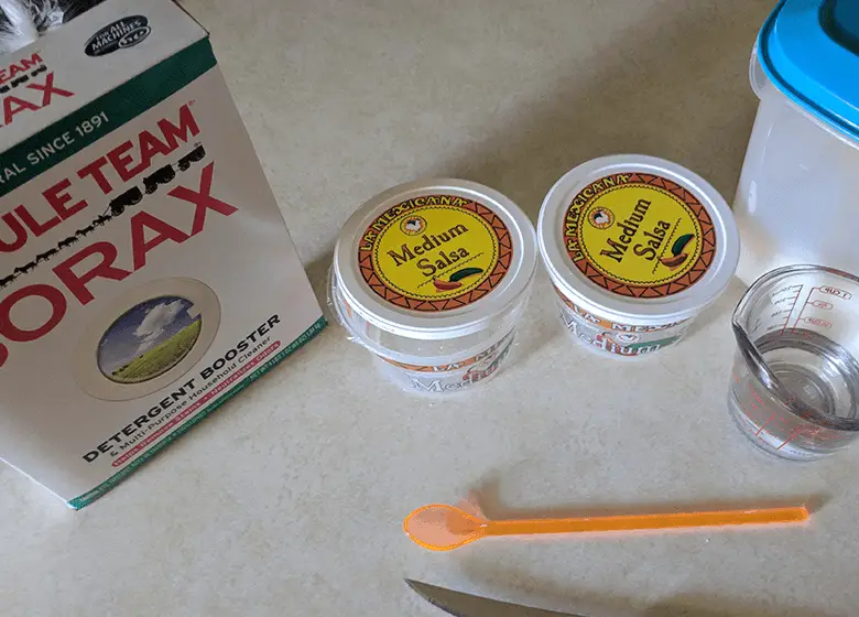 borax and sugar mixed with water is an effective ant killer