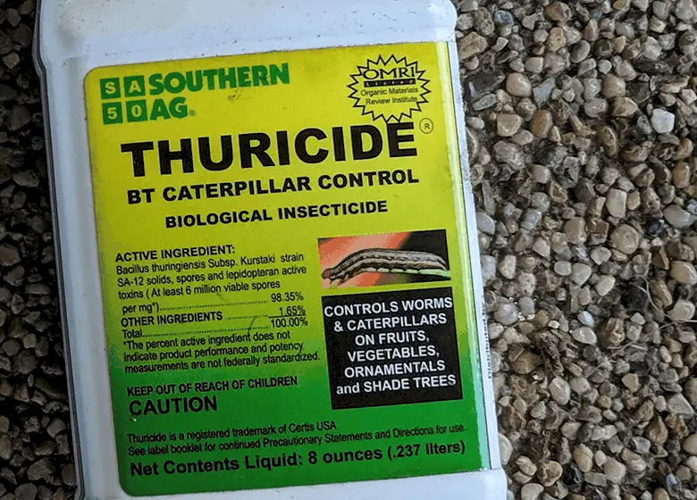 thuricide an effective caterpillar contorl