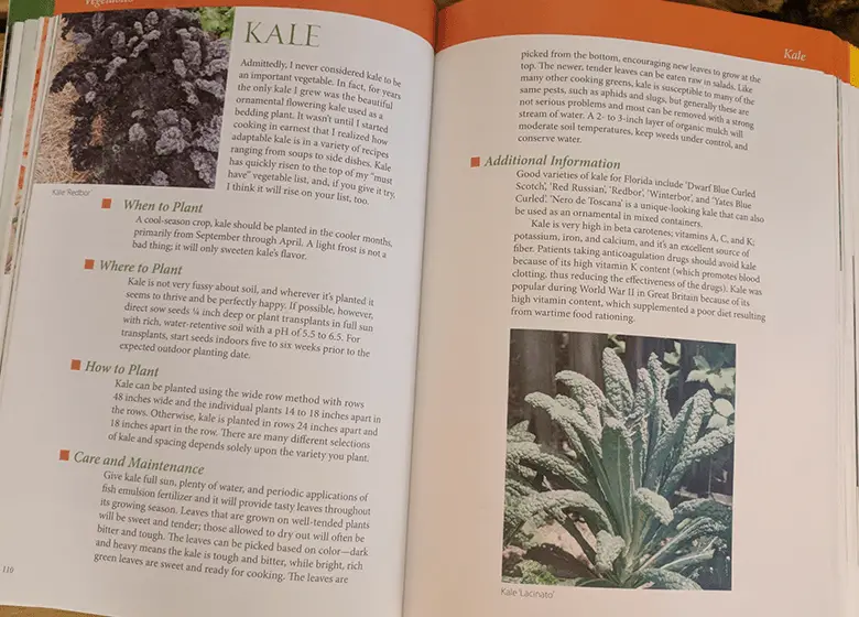veggie-example