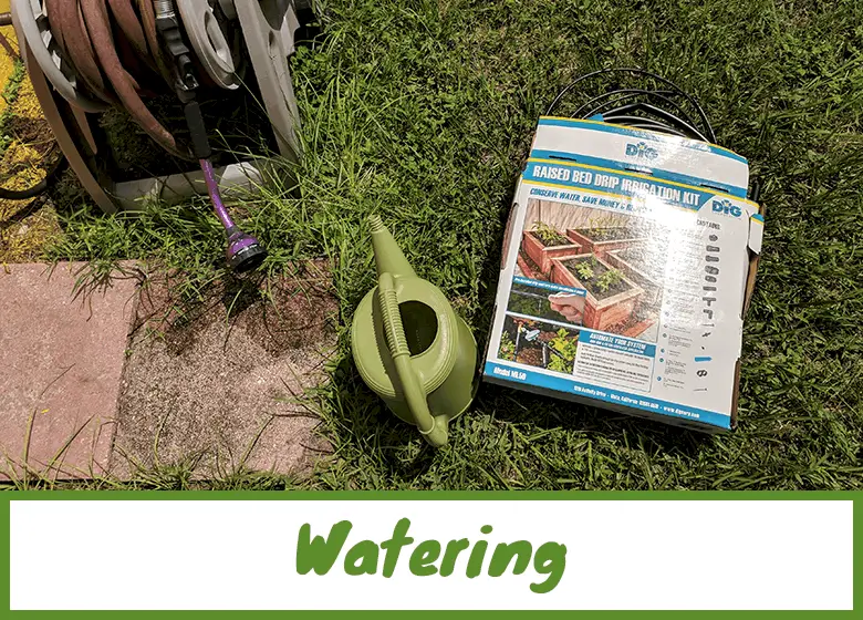 watering options, hose, drip or can