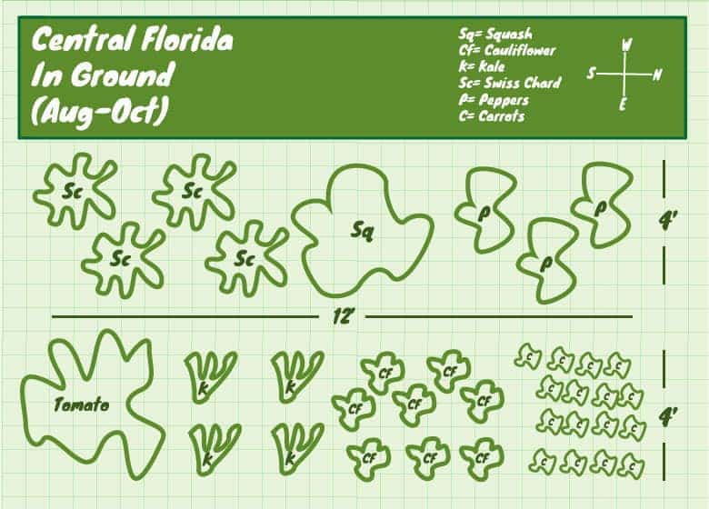 Florida Vegetable Garden Layout Things To Look Out For