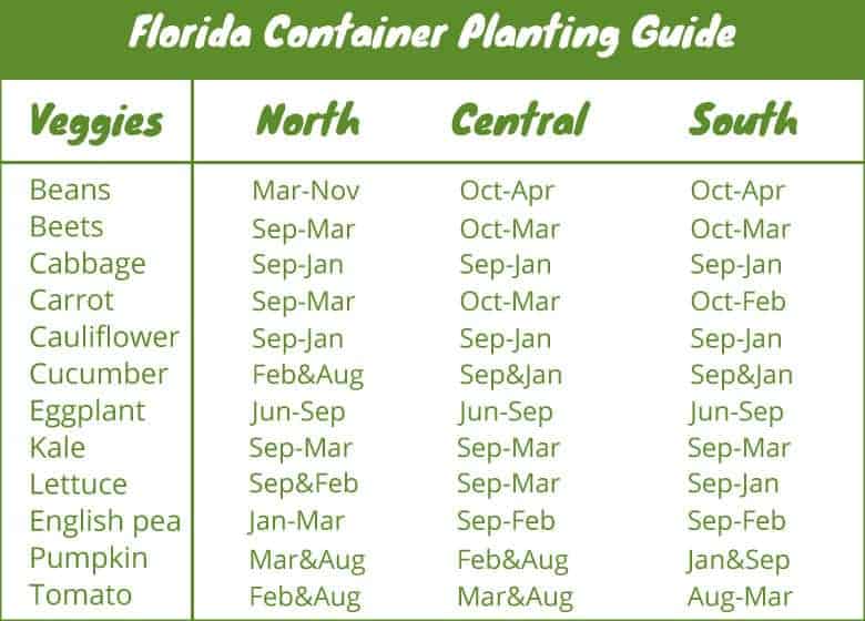 Florida-container-planting-guide
