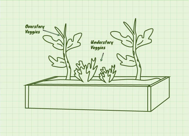 veggie-layout-in-layers