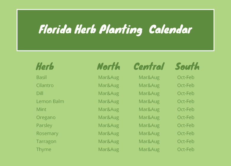 Herb Watering Chart