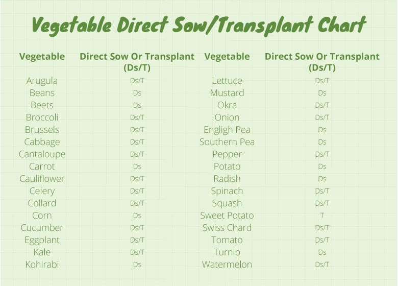 Vegetable Sunlight Chart