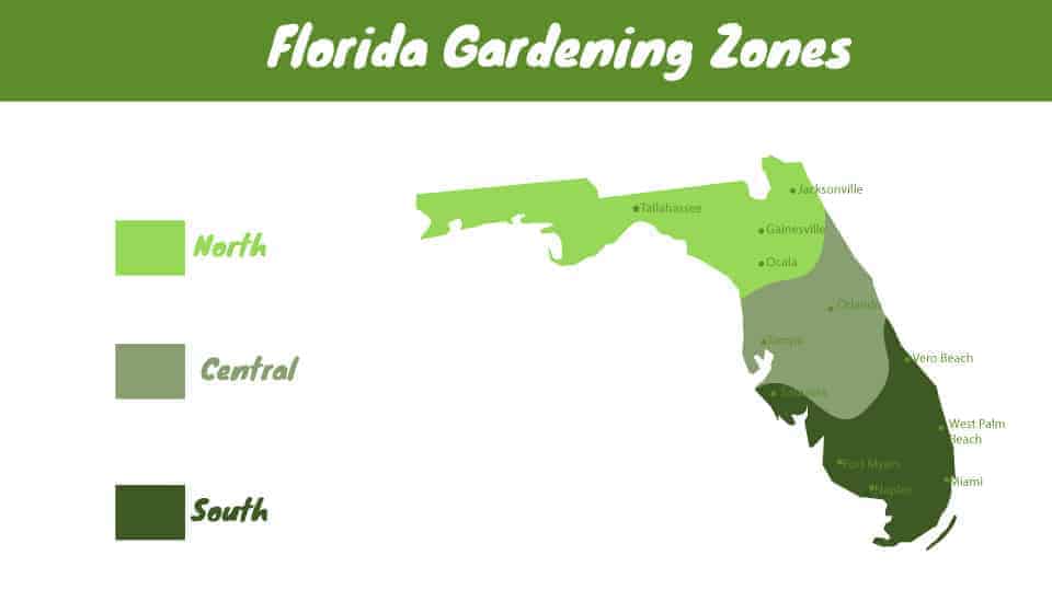 Florida Vegetable Planting Calendar Times For All Parts - Best Time To Plant Garden In Florida