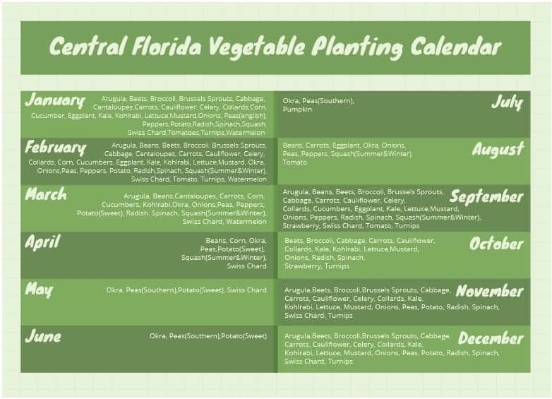 Florida Vegetable Planting Calendar Planting Times For All Parts