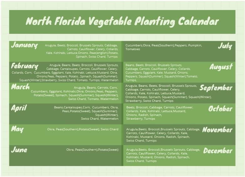 Garden vegtables for florida planting