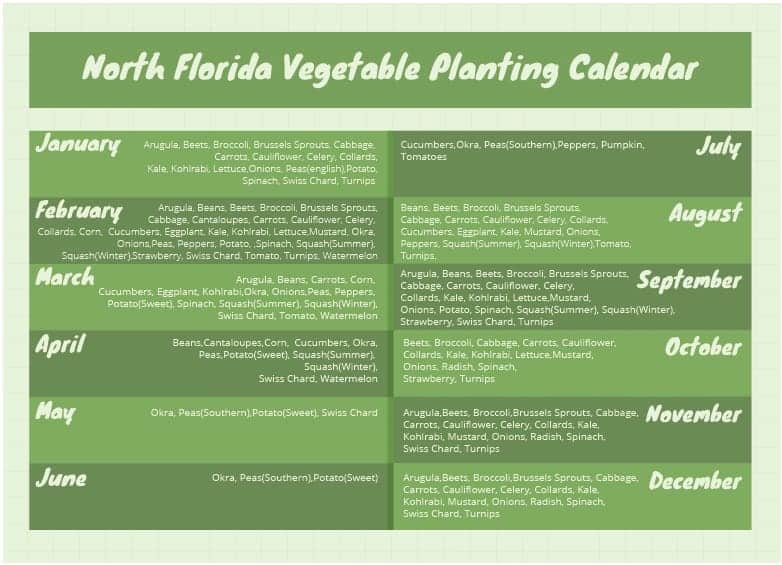 Florida Vegetable Planting Calendar Planting Times For All Parts