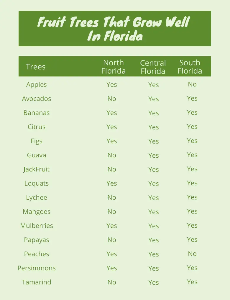 Wie man Obstbäume in Florida richtig pflegt