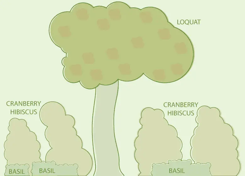 Florida Edible Landscape Design Example