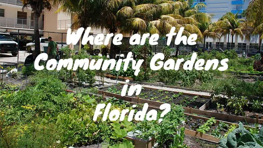 Where are the community gardens in Florida? Fl Gardening
