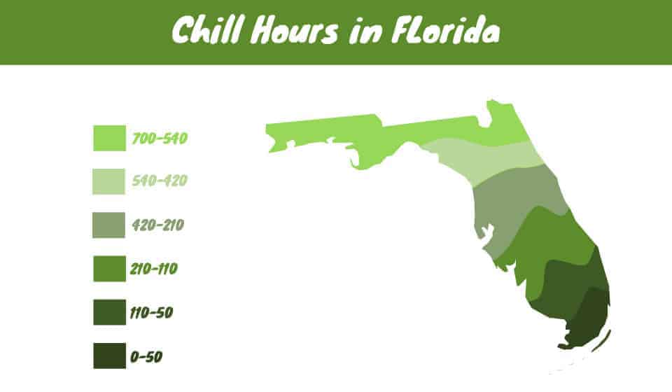Apple Chill Hours Chart