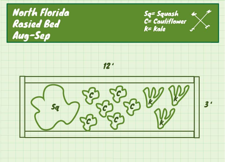 North-Florida-raised-bed-garden-design