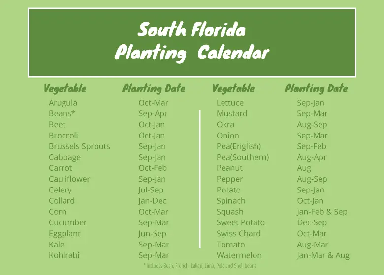A planting calendar for south Florida vegetables
