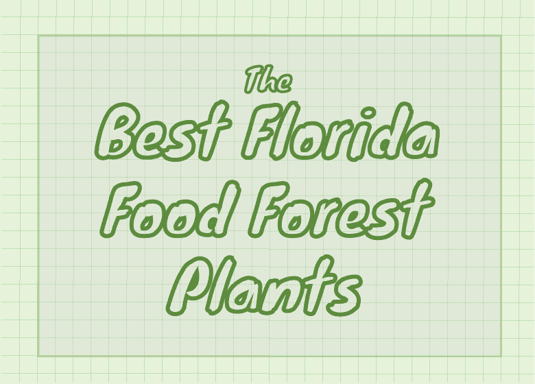 The-best-florida-food-forest-plants
