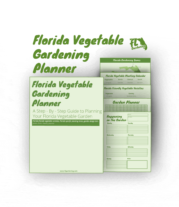 Florida Vegetable Planting Calendar Times For All Parts - Best Time To Plant Fall Garden In Florida