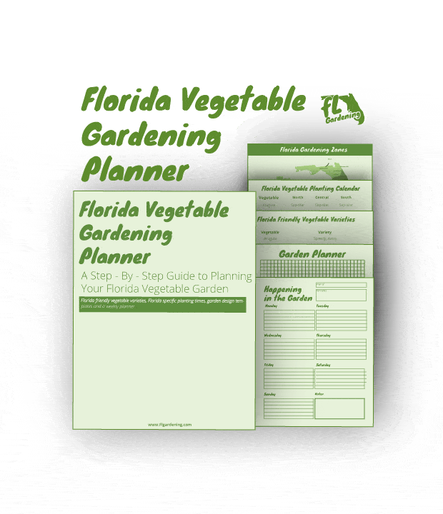 Florida Vegetable Gardening A Complete Beginners Guide