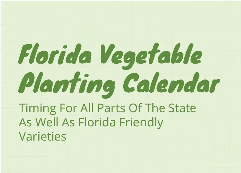 Florida-Vegetable-Planting-Calendar