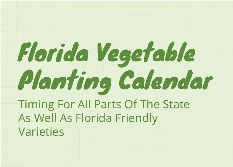 Florida Vegetable Planting Calendar Planting Times For All Parts