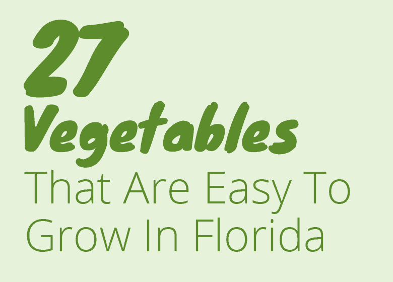 27-florida-friendly-vegetables