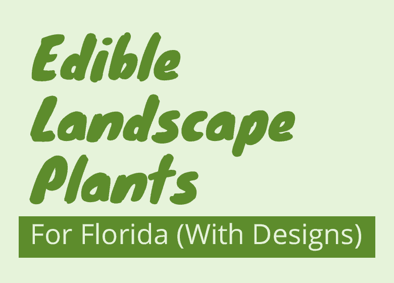 Edible-landscape-plants-for-Florida