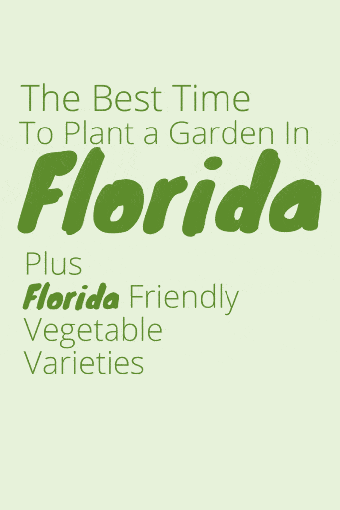 When Should I Start A Garden In Florida? Fl Gardening