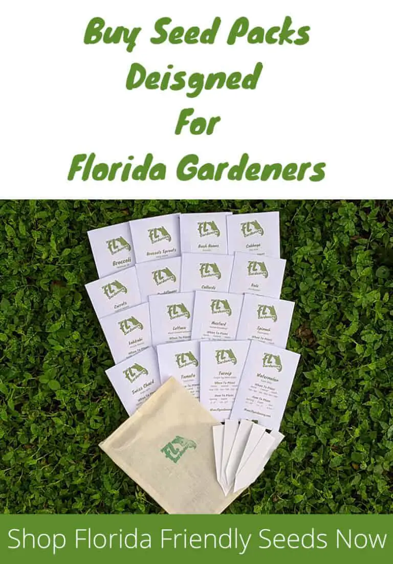 Growing Lettuce In Florida