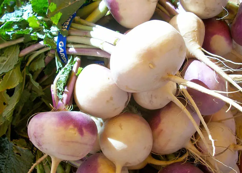 Turnips