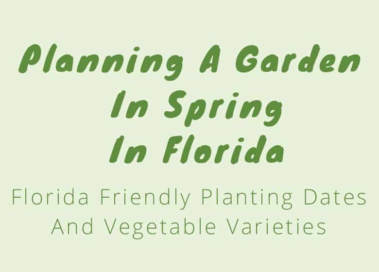 Planning And Planting A Spring Garden In Florida Fl Gardening